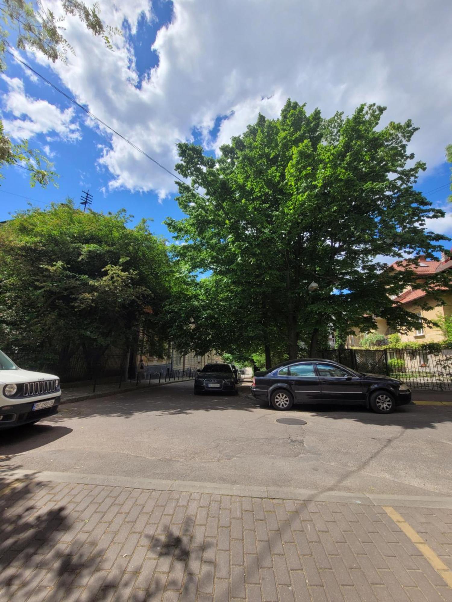 Центр, Біля Медичного Університету, Вулиця Личаківська Lviv Kamer foto
